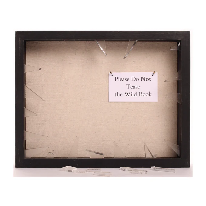 A dark wood frame with broken glass. The white canvas back features a note that reads “Please Do Not Tease the Wild Book”