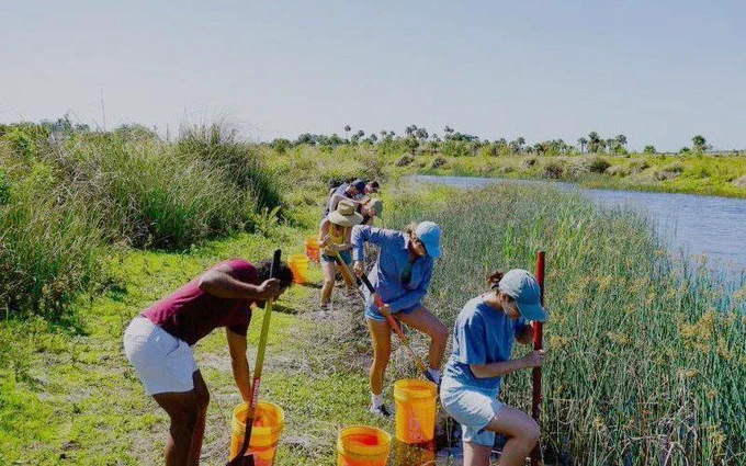 Photo of a citizen science project featuring a diverse group of citizen scientists along a riverbank, working to rebuild the ecosystem. The sun shines overhead, illuminating participants dressed in casual clothing—jeans, t-shirts, and hats for sun protection. They use spades and shovels to dig into the fertile soil beside a shimmering river. The background is filled with lush green grass and tall reeds swaying in the breeze.