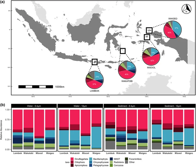 Map of sampling locations in Indonesia showing the relative abundance of major eukaryotic groups (a). Bar chart of major eukaryotic taxa in water and sediment of each sampling location (b).
