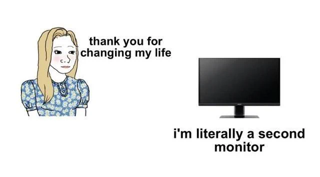 A cartoon woman blushing and saying "thank you for saving my life". Below, a picture of a monitor, who replies "I'm literally a second monitor"