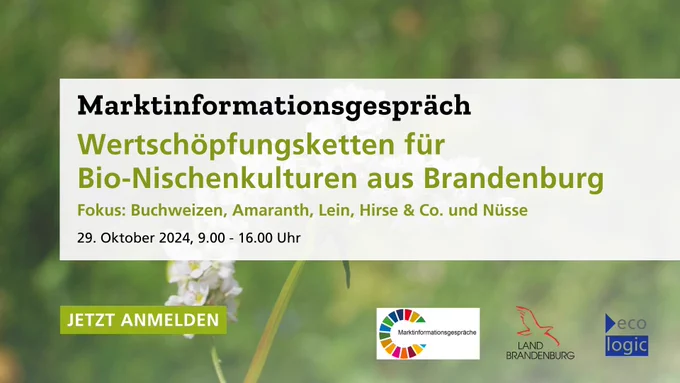 Share Pic für das Marktinformationsgespräch zu Wertschöpfungsketten für Bio-Nischenkulturen aus Brandenburg. Der Fokus liegt auf Buchweizen, Amaranth, Lein, Hirse und Nüssen. Die Veranstaltung findet am 29. Oktober 2024 von 9:00 bis 16:00 Uhr statt. Es wird dazu aufgerufen, sich jetzt anzumelden. Unten sind die Logos von Land Brandenburg, Ecologic Institut und Marktinformationsgespräche zu sehen. 