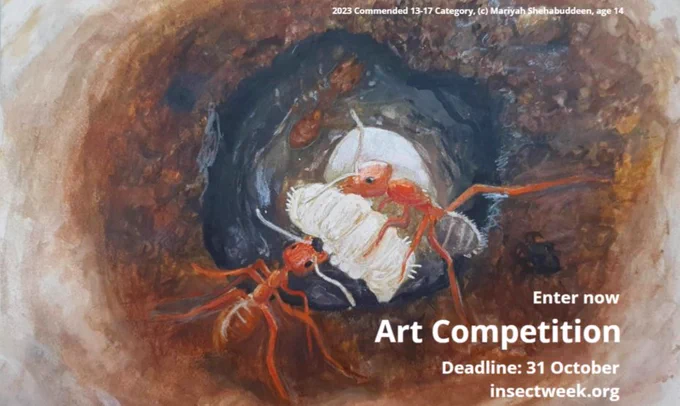Art Competition Deadline - 2023 Commended 13-17 Category, (c) Mariyah Shehabuddeen, age 14.