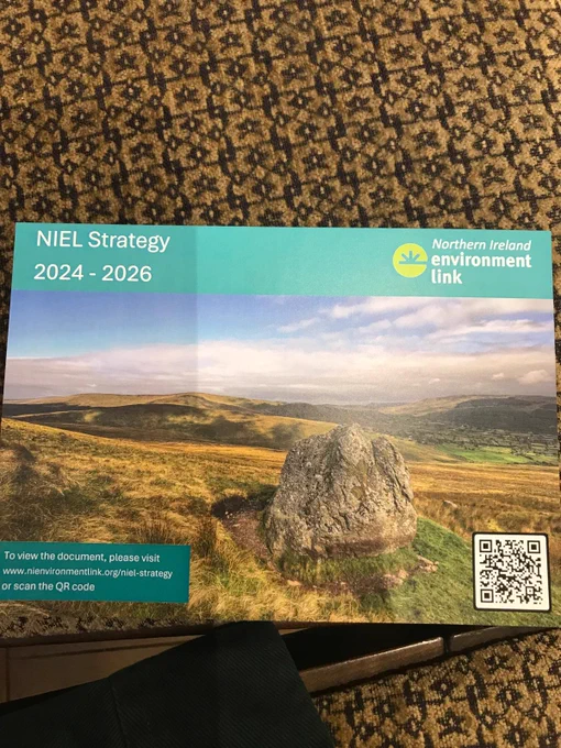 Photo of a flyer sitting on a golden fabric background. Flyer shows a photo of an NI mountain landscape under blue and slightly cloudy skies, with a QR code. Text reads: NIEL Strategy 2024-2026. To view the document, please visit www.nienvironmentlink.org/niel-strategy or scan the QR code.

The NIEL logo (a lime/yellow circle with what look to be like rays of a rising sun, and the text Northern Ireland environment link) is in the top right corner.
