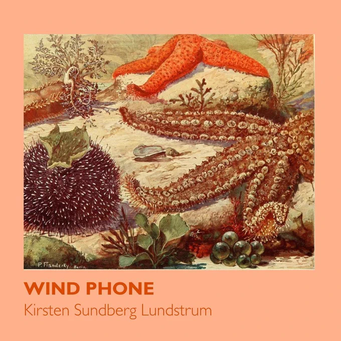 Historic yet colorful drawing of sea stars and other creatures on a sea floor. Pink background with the text "Wind Phone" and "Kirsten Sundberg Lunstrum."