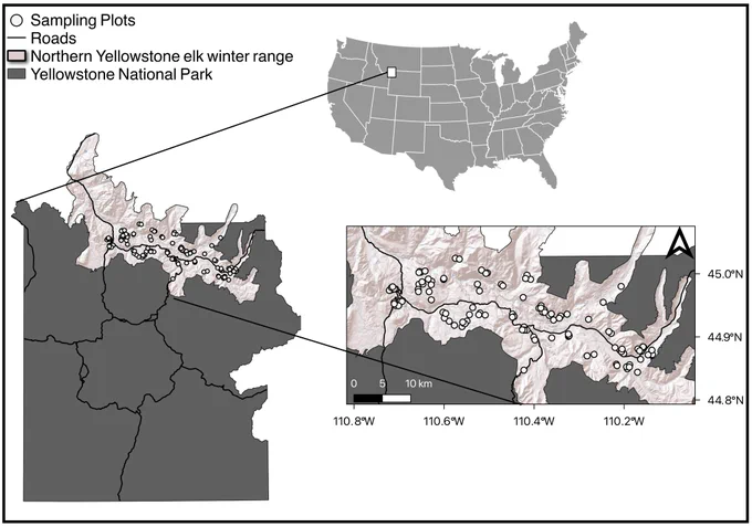 Locations of randomly sampled aspen stands in northern Yellowstone National Park. The northern Yellowstone elk winter range is the maximum distribution of the northern Yellowstone elk population during winter when elk often browse young aspen
