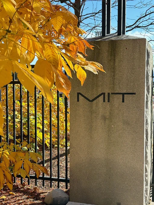 A yellow tree at the entrance to MIT's track.