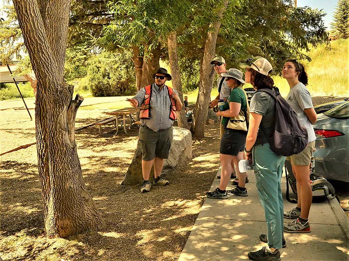 Colorado State Forest Service staff and interns complete a tree survey. 