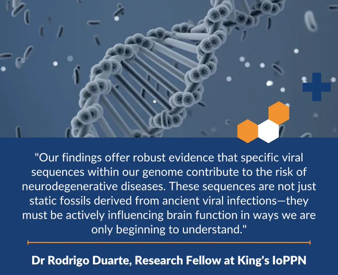 "Our findings offer robust evidence that specific viral sequences within our genome contribute to the risk of neurodegenerative diseases. These sequences are not just static fossils derived from ancient viral infections—they must be actively influencing brain function in ways we are only beginning to understand." Dr Rodrigo Duarte, Research Fellow at King's IoPPN