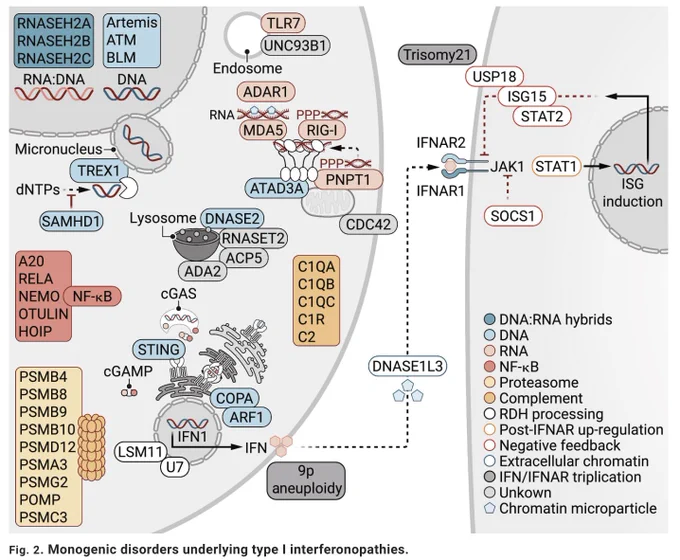 https://doi.org/10.1126/sciimmunol.adm8185