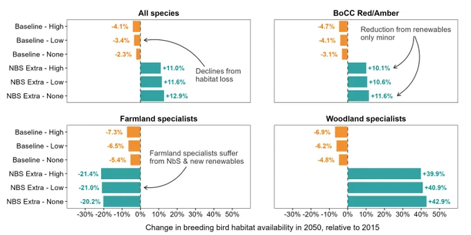 Plots showing impacts of renewables on four bird groups. NbS has greatest impact with renewables accounting for around 1.8% lower habitat availability compared to scenarios without new renewables