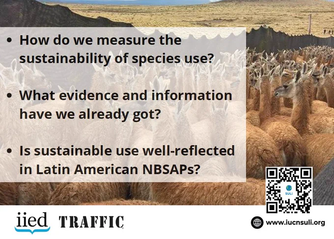 How do we measure the sustainability of species use? What evidence and information have we already got? Is sustainable use well-reflected in Latin American NBSAPs?