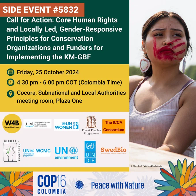 Call for action: core human rights and locally led, gender-responsive principles for conservation organisations and funders for implementing the KM-GBF.