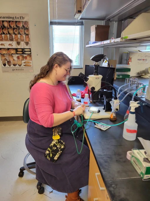 Emma Droste working with fruit flies in the lab. 