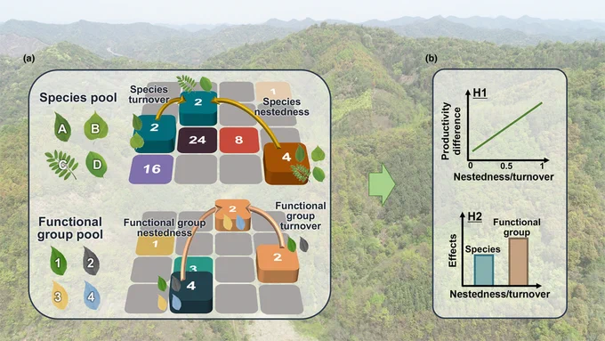 Conceptual illustration of species/functional group nestedness and turnover, representing richness and compositional change between pairs of plots, and key hypotheses. 