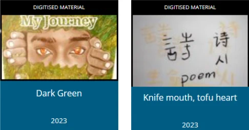 Screenshot of the digital exhibition of Real Student Stories – Journeys of the Othered,  University of Southampton highlighting two stories, entitled ‘Dark Green’ and ‘Knife mouth, tofu heart’ 