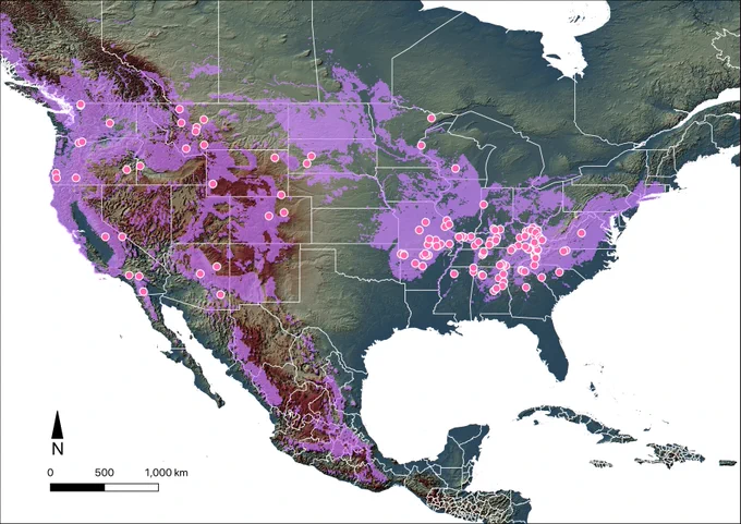 Map of sampling locations (pink circles) against genus range (purple).