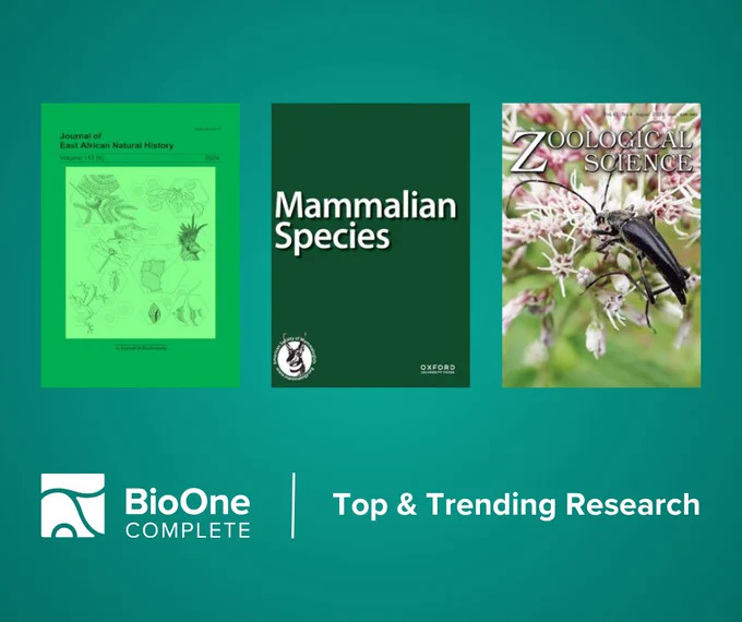 BioOne Complete Top & Trending Research. Journal covers for the Journal of East African Natural History, Mammalian Species, and Zoological Science.