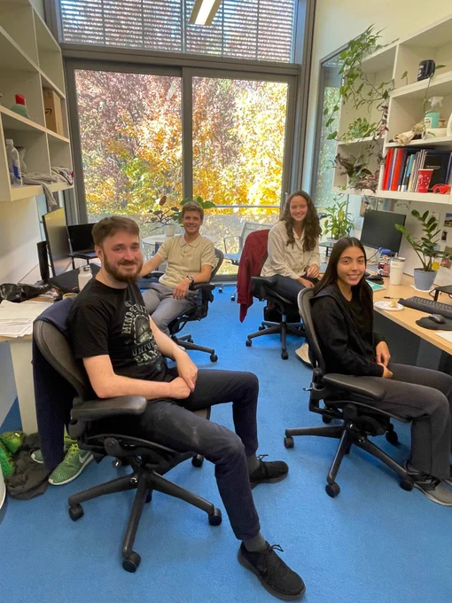 Full-color image of four students in their office with multi-colored trees visible through the windows behind them.
