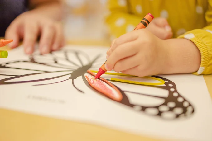 A student coloring a butterfly coloring sheet.