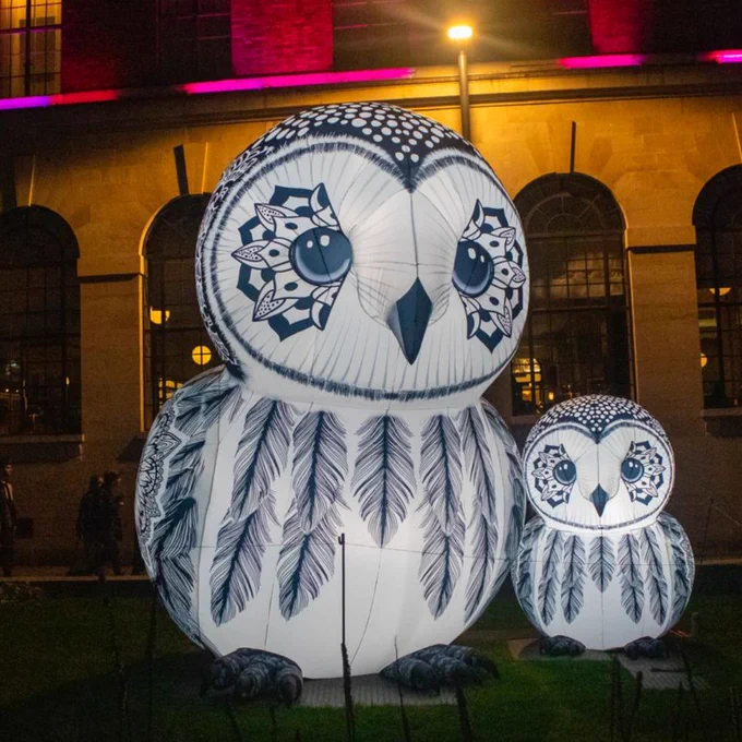 Nocturn Owls on Cookridge Street. Large, lit-up sculptures of owls sat on grass.