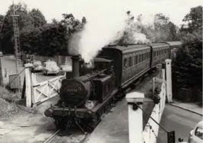 Steam engine and carriages crossing single track level crossing on the Hayling Island branch line. Plume of steam above chimney, gates across road, and trees behind.