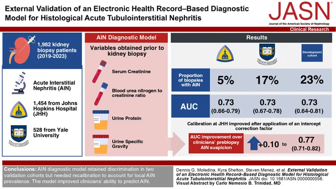 Visual abstract for "External Validation of an Electronic Health Record–Based Diagnostic Model for Histological Acute Tubulointerstitial Nephritis."