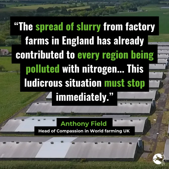 “The spread of slurry from factory farms in England has already contributed to every region being polluted with nitrogen... This ludicrous situation must stop immediately.” - Anthony Field Head of Compassion UK.