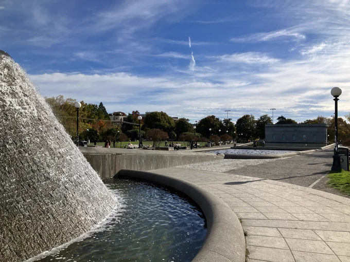 Cal Anderson park