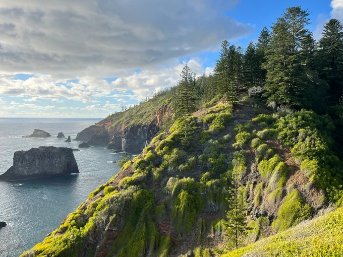 1600km northeast of Sydney, Norfolk Island is home to a unique array of species, including endemic birds that are threatened by rats and mice (Image by Professor Matt Hayward)