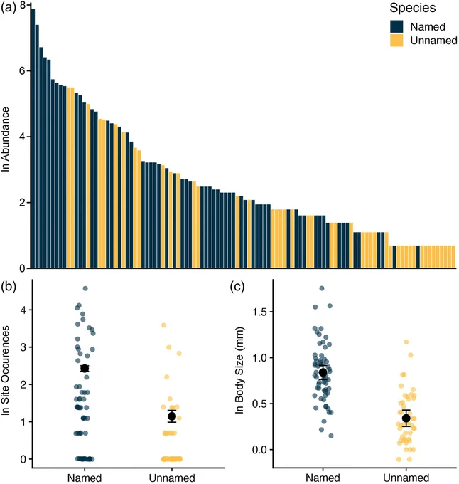 Graphical abstract to: What can an analysis of Australian tropical rainforest bark beetles suggest about the missing millions of Earth's insect species?