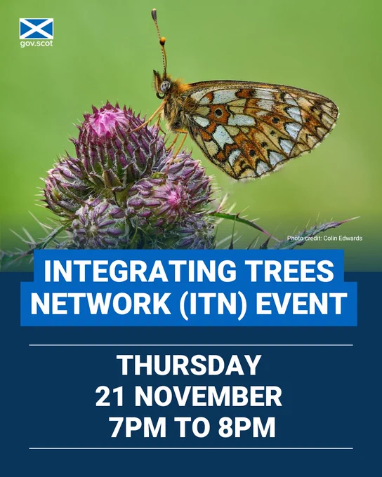Integrating Trees Network (ITN) event: Thursday 21 November, 7pm to 8pm