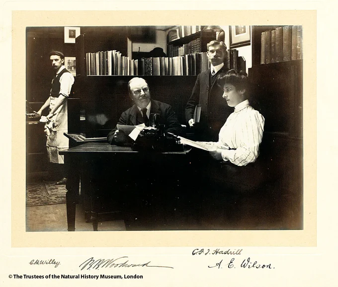 A black and white photograph of two male and one female librarians in the NHM Library c.1900