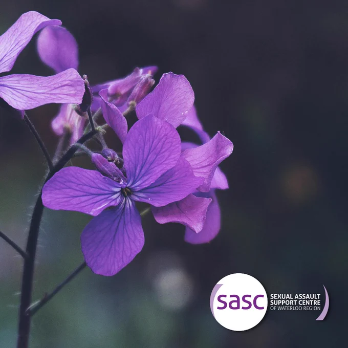 An image of a flower with SASC logo