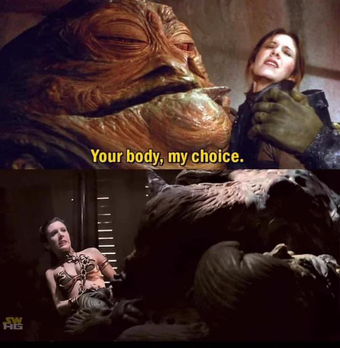 Panel one: Jabba the Hutt telling a captured Leia Organa, “Your body, my choice.”

Panel two: Leia in full Huttslayer regalia strangling Jabba to death.