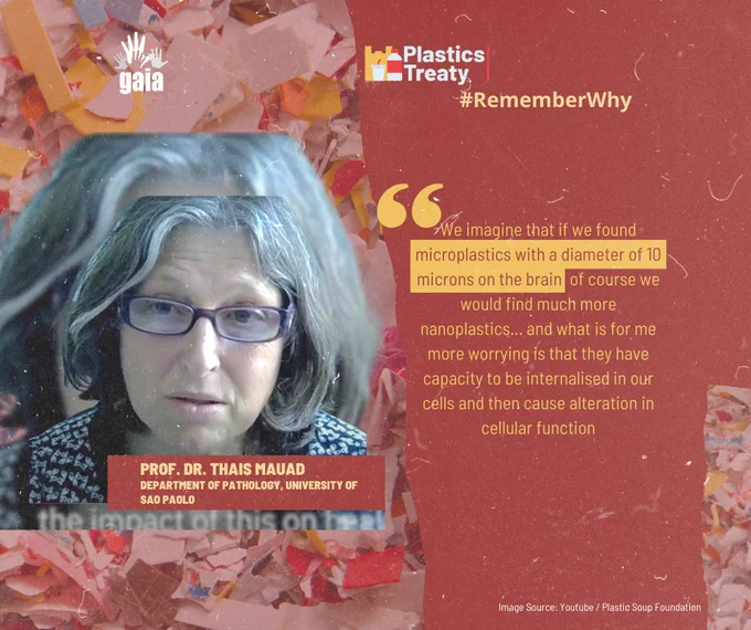 We imagine that if we found microplastics on the brain of course we would find much more nanoplastics... and what is for me more worrying is that they have capacity to be internalised in our cells and then cause alteration in cellular function. - Prof Dr Thais Mauad, Dept of Pathology, University of Sao Paolo