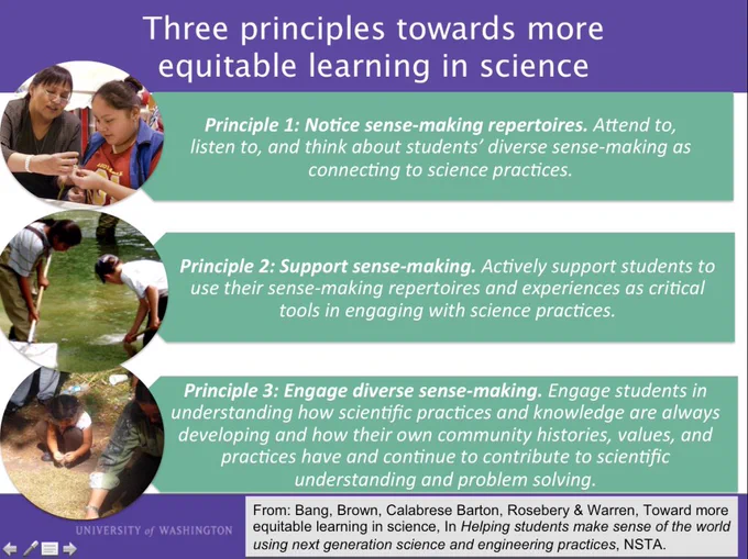 Three principles towards more equitable learning in science

Principle 1: Notice sense-making repertoires. Attend to,
listen to, and think about students' diverse sense-making as
connecting to science practices.

Principle 2: Support sense-making. Actively support students to
use their sense-making repertoires and experiences as critical
tools in engaging with science practices.

Principle 3: Engage diverse sense-making. Engage students in
understanding how scientific practices and knowledge are always
developing and how their own community histories, values, and
practices have and continue to contribute to scientific
understanding and problem solving.