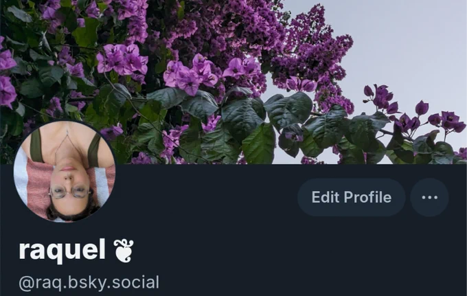 Screenshot of raq.bsky.social