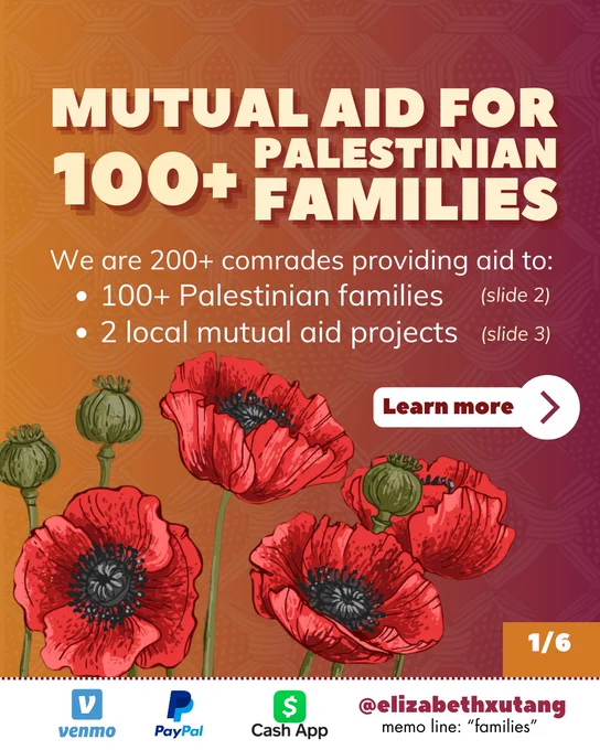 Mutual Aid for 100  Palestinian Families
We are 200  comrades providing aid to:
• 100  Palestinian families (slide 2)
• 2 local mutual aid projects (slide 3)

Venmo, Paypal, Cash App @elizabethxutang memo line: "families".

1/6