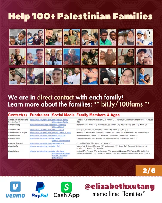 Help 100  Palestinian Families
We are in direct contact with each family!
Learn more about the families: ** bit.ly/100fams **

Screenshot of a part of the spreadsheet linked above.
2/6
