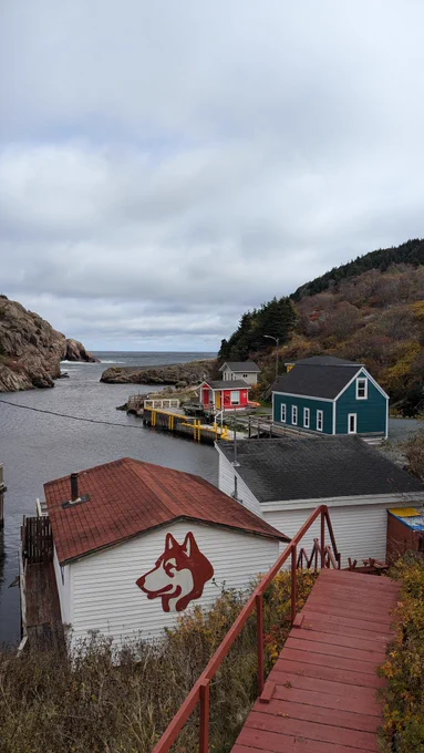 In Quidi Vidi, St. John's, a bay between with colorful houses on the left side and a white house with a drawing of a dog in red.