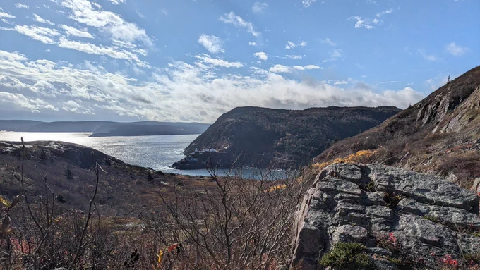 View from North Head Trail in St. John's featuring a small mount and some autumn colors.