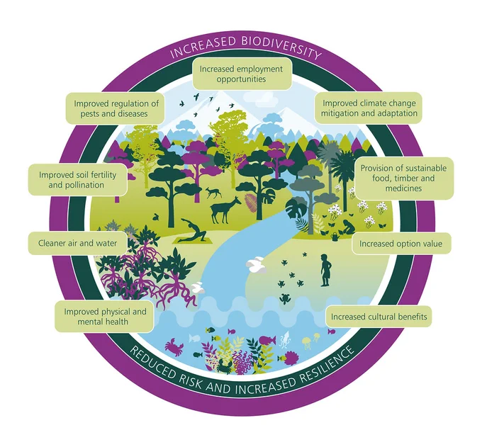 "The Benefits of Nature-Based Solutions" by dasguptareview is licensed under CC BY 2.0.
