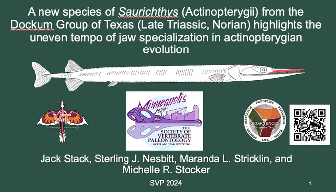 Powerpoint Slide with drawing of fish as centerpiece. 