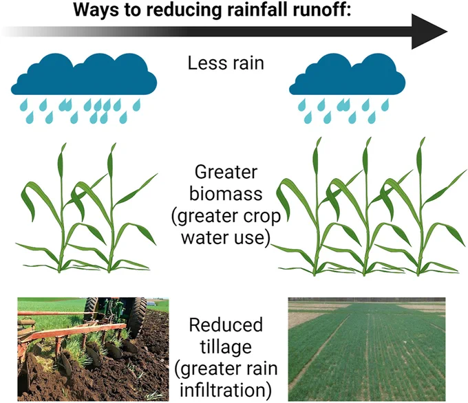 Graphic in colour showing how conservation tillage can reduce runoff from crop fields