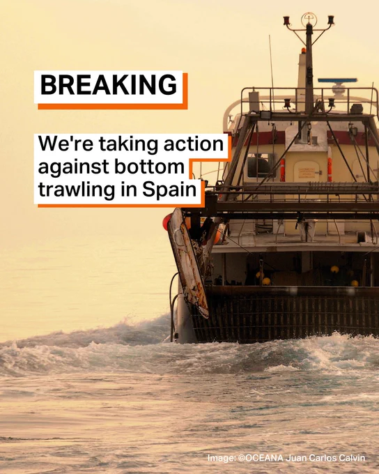 Breaking: We're taking action against bottom trawling in Spain