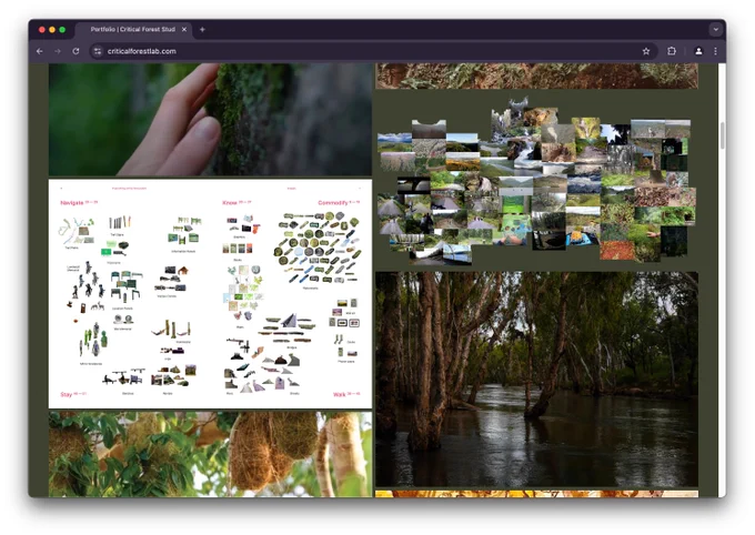 screenshot of https://www.criticalforestlab.com/