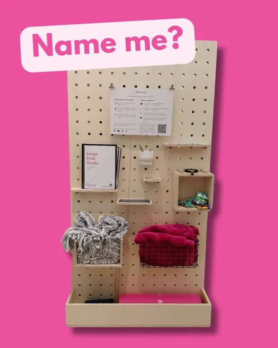A wooden pegboard shelving unit with various sensory and information resources against a pink background, with text which reads "Name me?"