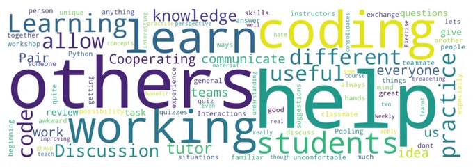 Wordcloud words related to teaching programming with help, other, and coding highlighted.