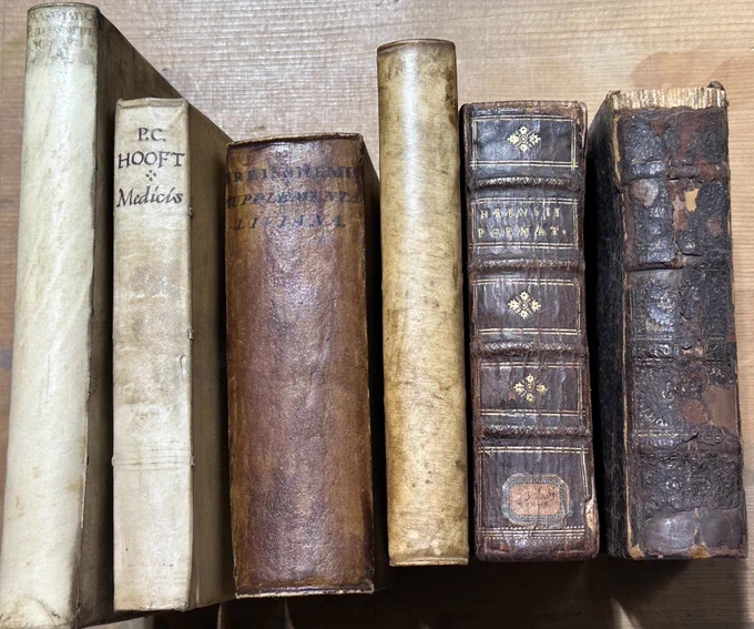 Group of antiquarian leather and vellum bindings
