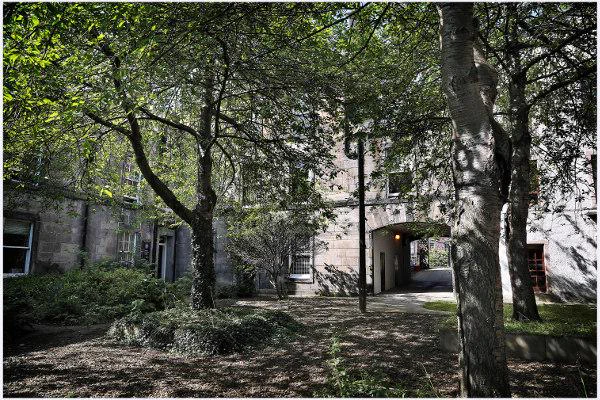 courtyard of building with trees and dappled sunlight